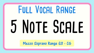 Vocal Warm up  5 Note Scale Up and Down  Mezzo Soprano [upl. by Eciryt698]