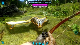 Ark Mobile Pteranodon Taming  Pteranodon Barrel Roll Spin  Pteranodon Saddle Level [upl. by Adore]