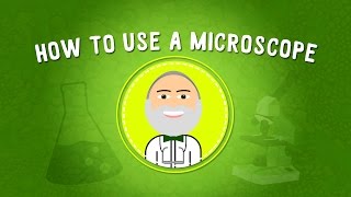 How to Use a Microscope  STEM [upl. by Bekha940]