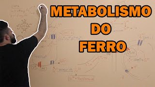 Metabolismo do ferro [upl. by Attirb]