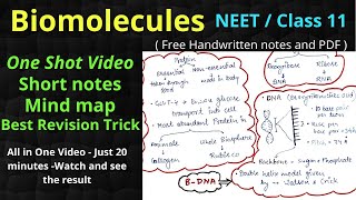 Biomolecules One shot Video Mind map Class 11 Chapter 9 Best revision for NEET notes Full NCERT [upl. by Mariellen703]