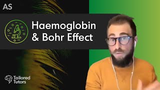 Haemoglobin amp Bohr Effect  A Level Biology Revision  AQA [upl. by Noruq]