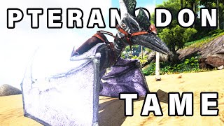 How To Tame A Pteranodon ► Ark [upl. by Mini266]