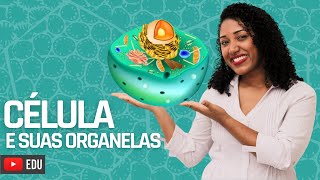 Aula Célula e suas organelas [upl. by Laughton]