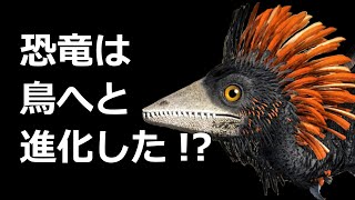 【解説】恐竜は鳥へと進化した [upl. by Naitsirhk]