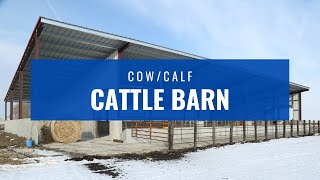 CowCalf Cattle Barn [upl. by Halivah]