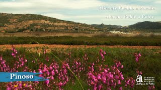 PINOSOEL PINÓS Alicante pueblo a pueblo [upl. by Zorina913]