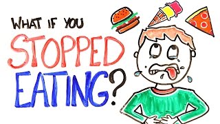 What If You Stopped Eating [upl. by Nywrad]