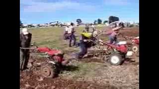 bernac concours labour motoculteurs 2013 [upl. by Cross]