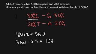 How to find nucleotide ratio of the DNA [upl. by Yevette]