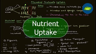 Nutrient Uptake  Microbial Nutrition  Microbiology  Basic Science Series [upl. by Anaahs]