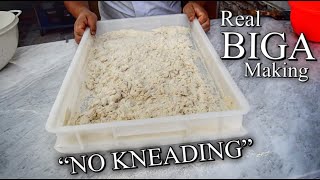 REAL METHOD HOW TO MAKE THE BIGA  NO KNEAD [upl. by Waite307]