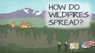 How Do Wildfires Spread [upl. by Ennaharas]