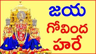 జయ గోవింద హరే  Lord Balaji Swamy  Sri Venkateswara Swamy Songs [upl. by Ebanreb]