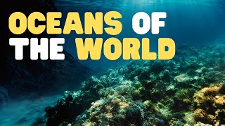 Oceans of the World for Kids  Learn all about the 5 Oceans of the Earth [upl. by Garth]