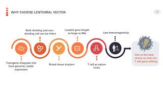 Viral based gene delivery system for CAR T cell engineering  Creative Biolabs Updated Version [upl. by Laeno]