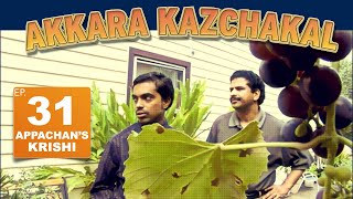 Akkara Kazhchakal Ep 31 [upl. by Shamrao]