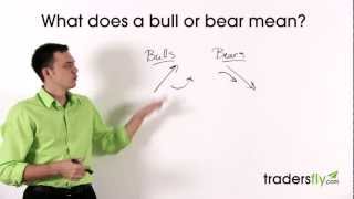 What Does a Bull and Bear Mean in the Stock Market [upl. by Nanji]