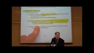 PHARMACOLOGY NARCOTIC ANALGESICS by Professor Fink [upl. by Nyrrat193]