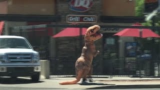 Person in T Rex Costume Cools Off at Dairy Queen [upl. by Sharline]