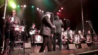 Melbourne Ska Orchestra quotKatoombaquot  The Observatory 62815 [upl. by Yelwah]