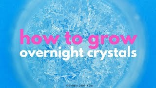 How to Grow Crystals Overnight [upl. by Audres454]