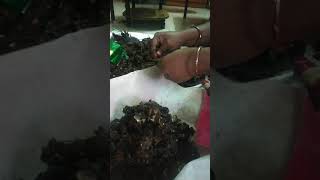 How to do remove tamarind seed easy method [upl. by Adirem]