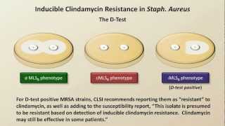 Antibiotic Resistance Antibiotics  Lecture 9 [upl. by Primrose660]