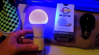 LED Blacklight Bulb REVIEW 7watt ADJ BLB7W Black Light ultraviolet UV [upl. by Shimberg]