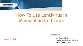 How To Use Lentivirus In Mammalian Cell Lines [upl. by Rehpotsihc]