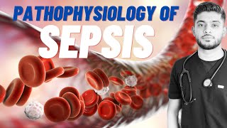 Sepsis A Simulation for Healthcare Education [upl. by Ylagam718]