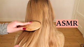 ASMR 1 HOUR HAIR BRUSHING COMPILATION NO TALKING [upl. by Amjan]