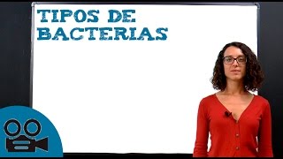 Tipos de bacterias [upl. by Kantor479]