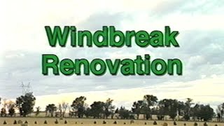 Windbreak Renovation [upl. by Dworman]