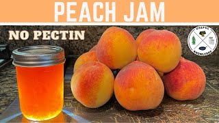 Peach Jam without Pectin  Useful Knowledge [upl. by Ivgnout]