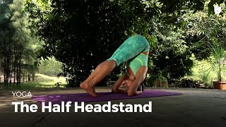 Learn the Half Headstand  Ardha Shirshasana  Yoga [upl. by Leia]