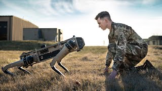 Meet the Futuristic Military Robot Dog [upl. by Delainey]