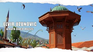 Elvir UzunovicSplet bosanskih sevdalinki na harmoniciinstrumental [upl. by Sivahc]