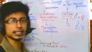 Genetics part 1 introduction to advanced genetics [upl. by Valery]