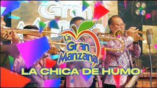 Marimba Orquesta La Gran Manzana 2021  Mix Cumbia de Siempre [upl. by Wamsley]