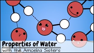 Properties of Water [upl. by Araik]