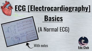 ECG  Basics  How to read ECG  ECG Waves  Leads  Normal Electrocardiogram [upl. by Haven]