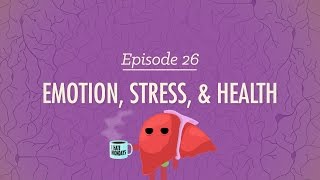 Emotion Stress and Health Crash Course Psychology 26 [upl. by Eppesuig568]