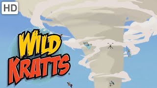 Wild Kratts  Tornadoes and Thorns A Prairie Adventure [upl. by Erleena]