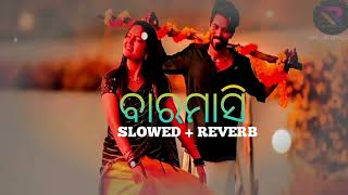 BARAMASI  Human Sagar New Song   Slowed  Reverb [upl. by Kcajyllib]