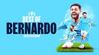 BEST OF BERNARDO SILVA 2223  Fantastic goals and assists [upl. by Aisatana]