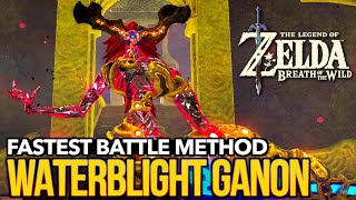 The EASIEST amp FASTEST Way to Defeat Waterblight Ganon in Zelda Breath of the Wild [upl. by Bonis]