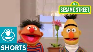 Sesame Street Bert and Ernie Grow a Flower [upl. by Zea468]