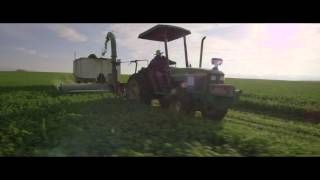 Organic Farming  From Seed to Supplement  Amway [upl. by Izabel]