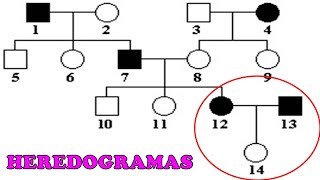 HEREDOGRAMAS  Exercícios e Dicas [upl. by Azriel]